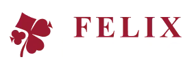 Vibebet Casino: Felixgaming